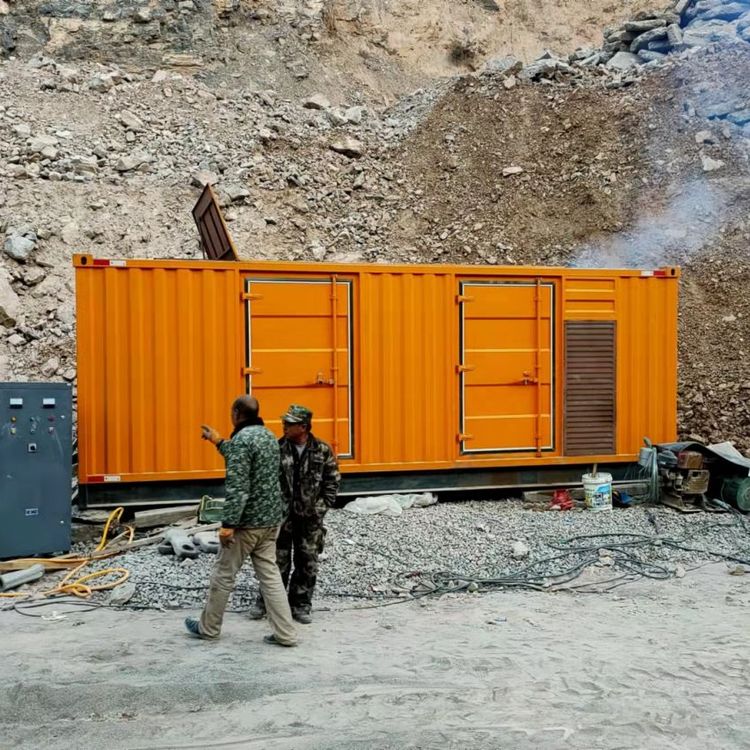 肃宁如何选择适合自己的 800KW 柴油发电机组？